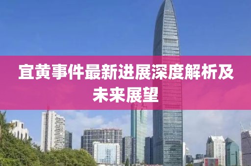 宜黄事件最新进展深度解析及未来展望