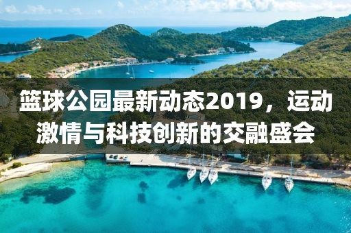 篮球公园最新动态2019，运动激情与科技创新的交融盛会