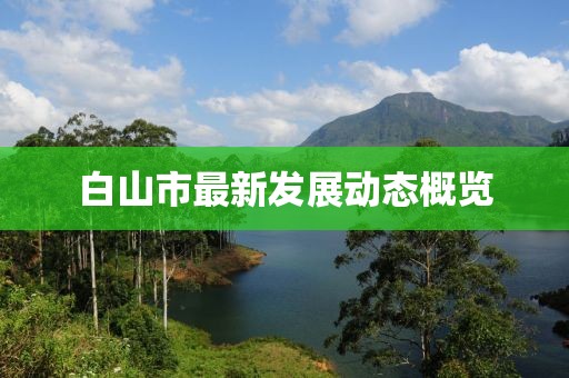 白山市最新发展动态概览