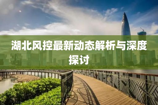 湖北风控最新动态解析与深度探讨