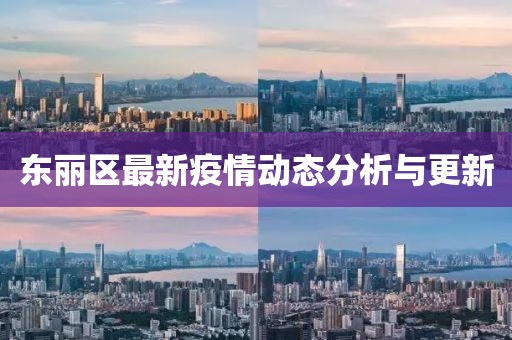 东丽区最新疫情动态分析与更新