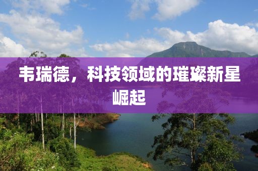 韦瑞德，科技领域的璀璨新星崛起