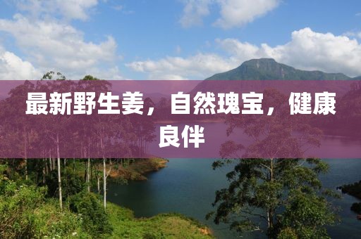 最新野生姜，自然瑰宝，健康良伴