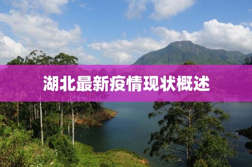 湖北最新疫情现状概述