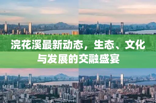 浣花溪最新动态，生态、文化与发展的交融盛宴