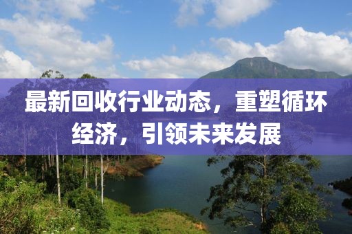 最新回收行业动态，重塑循环经济，引领未来发展