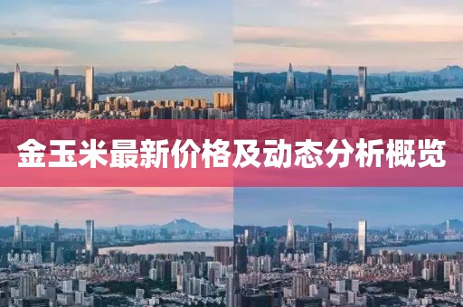 金玉米最新价格及动态分析概览