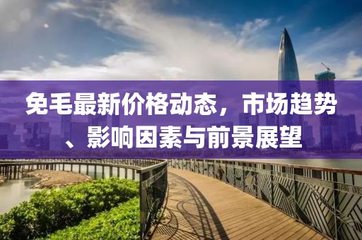 免毛最新价格动态，市场趋势、影响因素与前景展望
