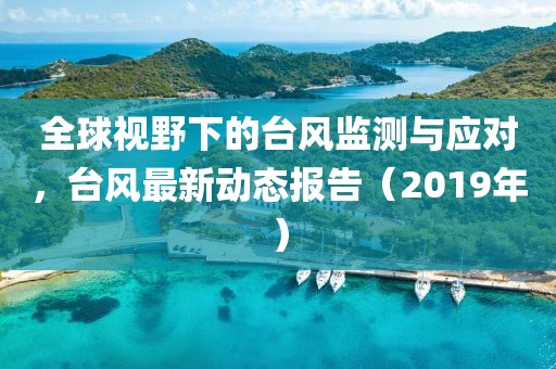 全球视野下的台风监测与应对，台风最新动态报告（2019年）