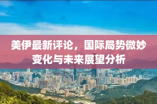 美伊最新评论，国际局势微妙变化与未来展望分析