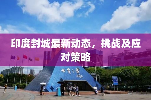 印度封城最新动态，挑战及应对策略