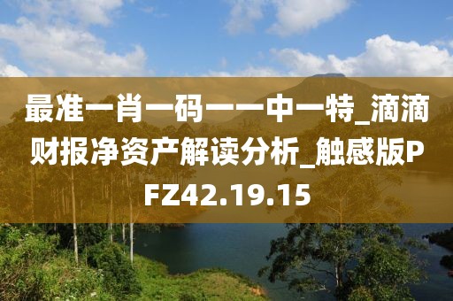 最准一肖一码一一中一特_滴滴财报净资产解读分析_触感版PFZ42.19.15