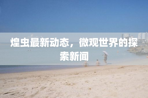 煌虫最新动态，微观世界的探索新闻
