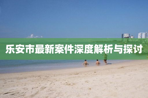 乐安市最新案件深度解析与探讨