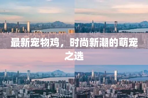 最新宠物鸡，时尚新潮的萌宠之选