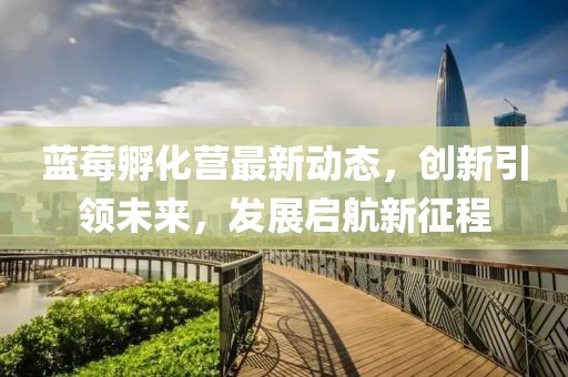 蓝莓孵化营最新动态，创新引领未来，发展启航新征程