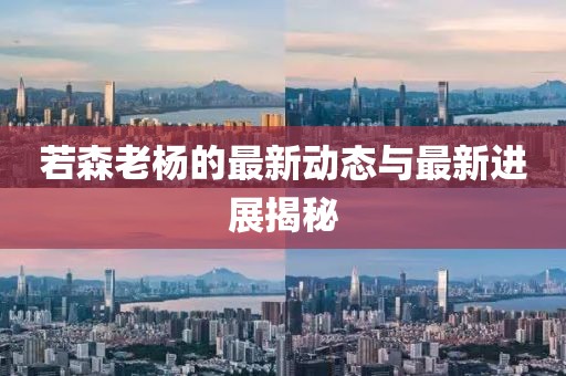 若森老杨的最新动态与最新进展揭秘