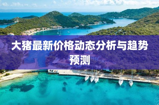大猪最新价格动态分析与趋势预测