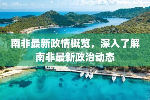 南非最新政情概览，深入了解南非最新政治动态