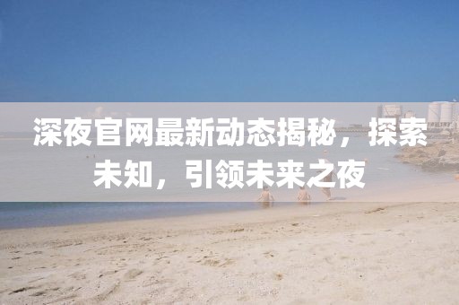 深夜官网最新动态揭秘，探索未知，引领未来之夜