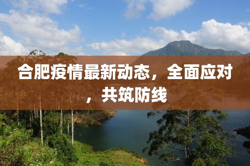 合肥疫情最新动态，全面应对，共筑防线