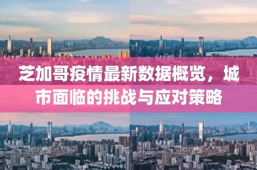 芝加哥疫情最新数据概览，城市面临的挑战与应对策略