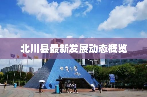 2025年4月 第291页