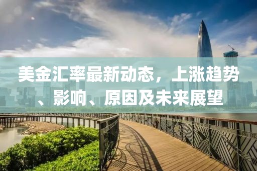 美金汇率最新动态，上涨趋势、影响、原因及未来展望