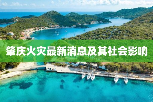 肇庆火灾最新消息及其社会影响
