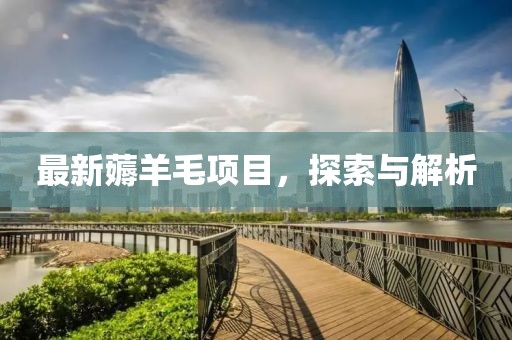 最新薅羊毛项目，探索与解析