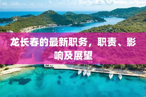 龙长春的最新职务，职责、影响及展望