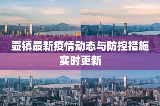 壶镇最新疫情动态与防控措施实时更新