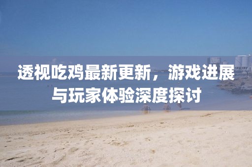 透视吃鸡最新更新，游戏进展与玩家体验深度探讨