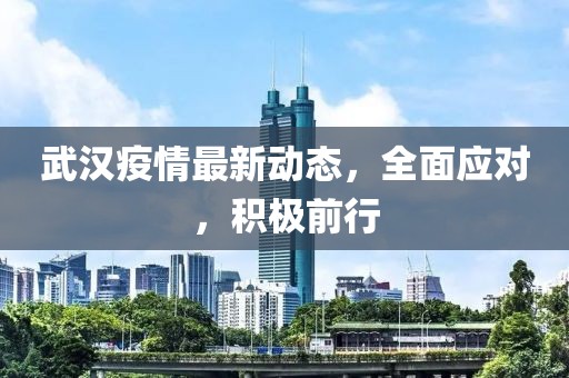 武汉疫情最新动态，全面应对，积极前行