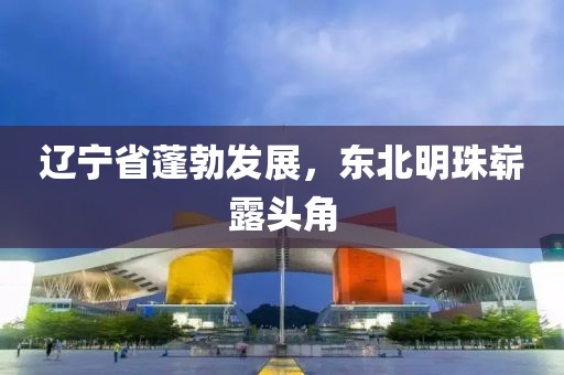 辽宁省蓬勃发展，东北明珠崭露头角