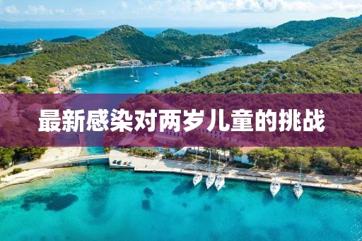 最新感染对两岁儿童的挑战