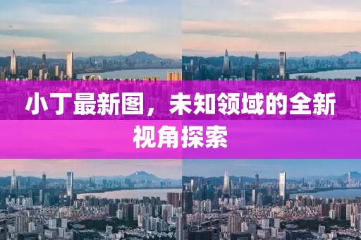 小丁最新图，未知领域的全新视角探索