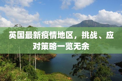 英国最新疫情地区，挑战、应对策略一览无余