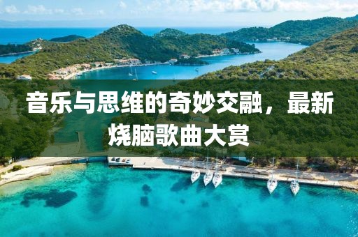 音乐与思维的奇妙交融，最新烧脑歌曲大赏