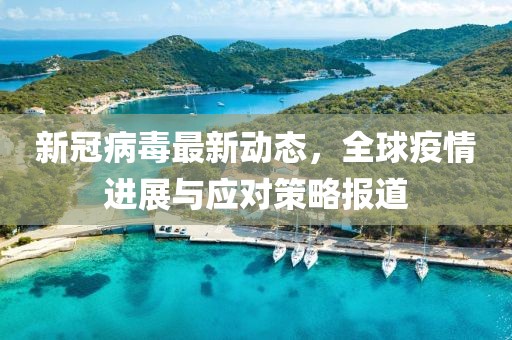 新冠病毒最新动态，全球疫情进展与应对策略报道