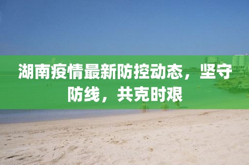 湖南疫情最新防控动态，坚守防线，共克时艰