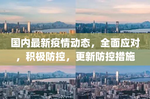 国内最新疫情动态，全面应对，积极防控，更新防控措施