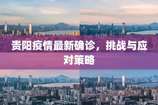 贵阳疫情最新确诊，挑战与应对策略