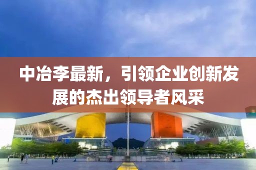 中冶李最新，引领企业创新发展的杰出领导者风采