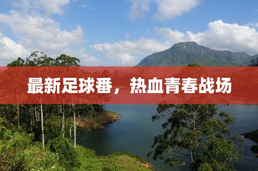 最新足球番，热血青春战场