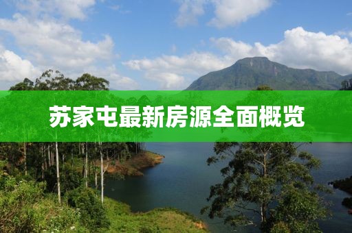苏家屯最新房源全面概览