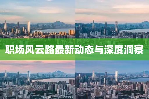 职场风云路最新动态与深度洞察