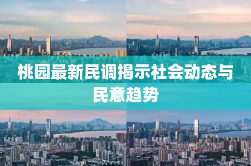 桃园最新民调揭示社会动态与民意趋势