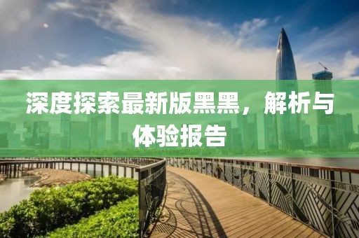 深度探索最新版黑黑，解析与体验报告