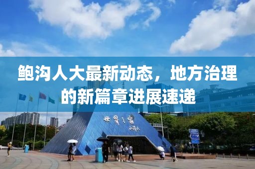 鲍沟人大最新动态，地方治理的新篇章进展速递